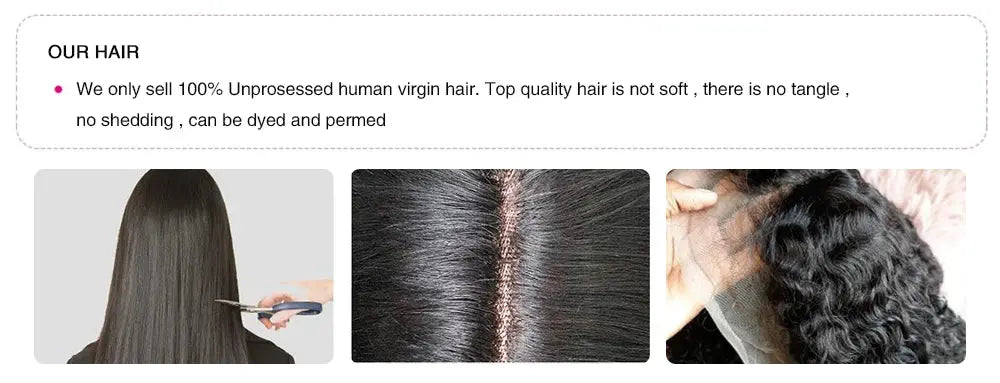 200% Body Wave Wig Burgundy 99J Lace Front Wig 13x4 13x6 HD Lace Frontal Wig Human Hair Pre Plucked 99j Red Colored Wig luxelootstore